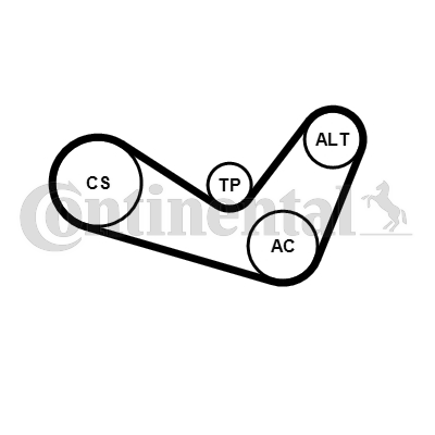 Juego de correas trapeciales poli V - CONTITECH-6PK1050K1 Juego de correas trapeciales poli V - CONTITECH-6PK1050K1