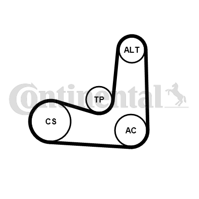 Juego de correas trapeciales poli V - CONTITECH-6PK1070K5