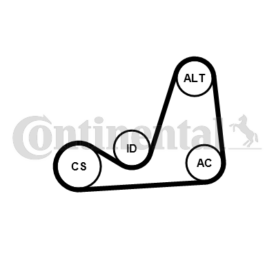 Juego de correas trapeciales poli V - CONTITECH-6PK1075K1 Juego de correas trapeciales poli V - CONTITECH-6PK1075K1