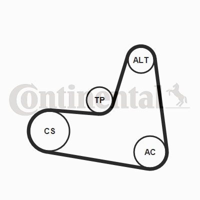Juego de correas trapeciales poli V - CONTITECH-6PK1120K2