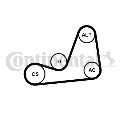Juego de correas trapeciales poli V - CONTITECH-6PK1130K4