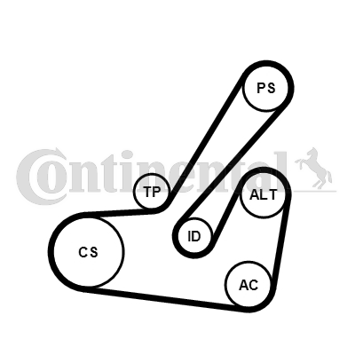 Juego de correas trapeciales poli V - CONTITECH-6PK1145K2 Juego de correas trapeciales poli V - CONTITECH-6PK1145K2