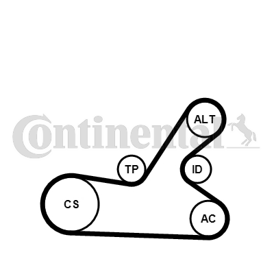 Juego de correas trapeciales poli V - CONTITECH-6PK1145K4 Juego de correas trapeciales poli V - CONTITECH-6PK1145K4