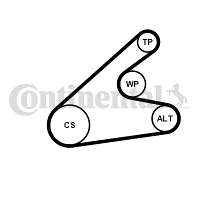 Juego de correas trapeciales poli V - CONTITECH-6PK1306K2
