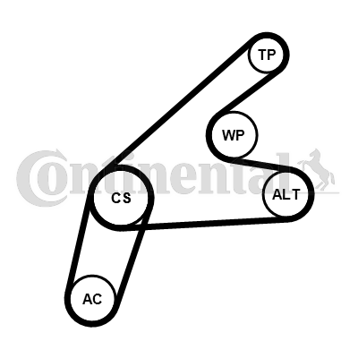 Juego de correas trapeciales poli V - CONTITECH-6PK1306K3
