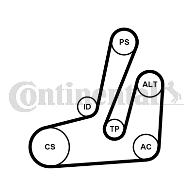 Juego de correas trapeciales poli V - CONTITECH-6PK1390K1