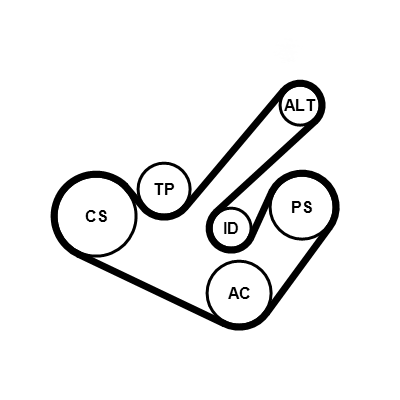 Juego de correas trapeciales poli V - CONTITECH-6PK1555K9