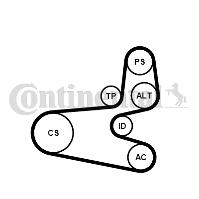 Juego de correas trapeciales poli V - CONTITECH-6PK1560K1