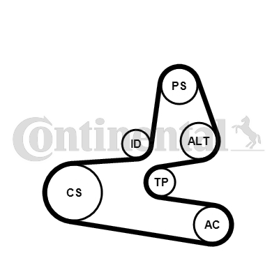 Juego de correas trapeciales poli V - CONTITECH-6PK1564K1 Juego de correas trapeciales poli V - CONTITECH-6PK1564K1