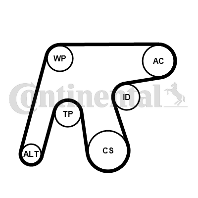 Juego de correas trapeciales poli V - CONTITECH-6PK1642K3 Juego de correas trapeciales poli V - CONTITECH-6PK1642K3