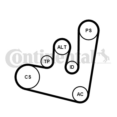 Juego de correas trapeciales poli V - CONTITECH-6PK1660K2