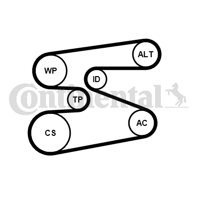 Juego de correas trapeciales poli V - CONTITECH-6PK1698K1
