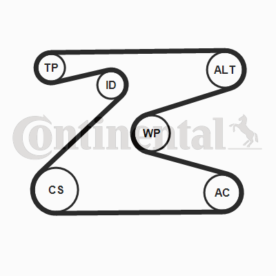 Juego de correas trapeciales poli V - CONTITECH-6PK1715K2