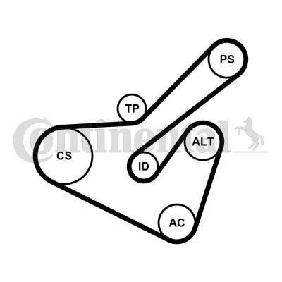 Juego de correas trapeciales poli V - CONTITECH-6PK1725K2