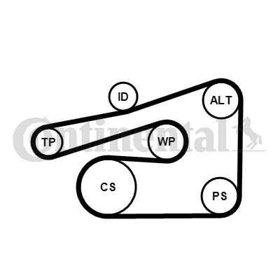 Juego de correas trapeciales poli V - CONTITECH-6PK1733K4