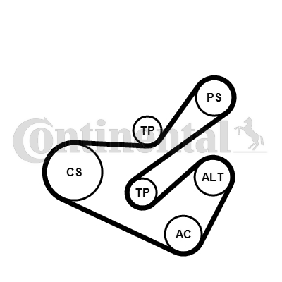 Juego de correas trapeciales poli V - CONTITECH-6PK1740K1 Juego de correas trapeciales poli V - CONTITECH-6PK1740K1