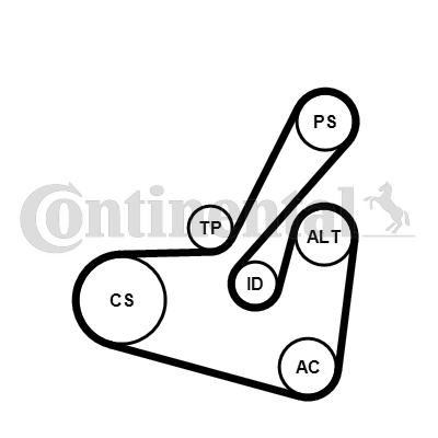 Juego de correas trapeciales poli V - CONTITECH-6PK1750K1 Juego de correas trapeciales poli V - CONTITECH-6PK1750K1