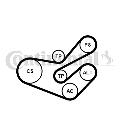Juego de correas trapeciales poli V - CONTITECH-6PK1750K3