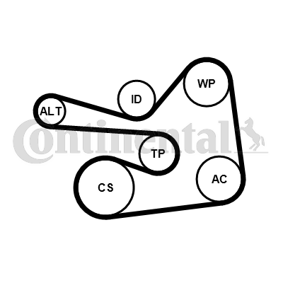 Juego de correas trapeciales poli V - CONTITECH-6PK1830K1 Juego de correas trapeciales poli V - CONTITECH-6PK1830K1