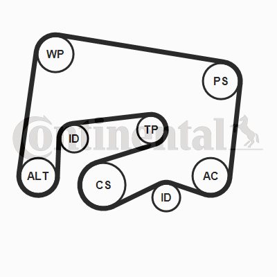 Juego de correas trapeciales poli V - CONTITECH-6PK2000K1