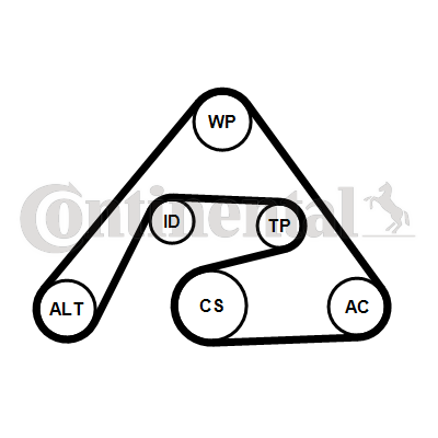 Juego de correas trapeciales poli V - CONTITECH-6PK2030K2 Juego de correas trapeciales poli V - CONTITECH-6PK2030K2