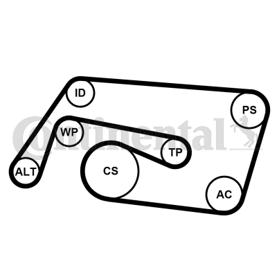 Juego de correas trapeciales poli V - CONTITECH-6PK2260K2