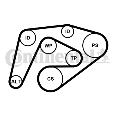 Juego de correas trapeciales poli V - CONTITECH-6PK2260K3 Juego de correas trapeciales poli V - CONTITECH-6PK2260K3