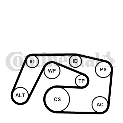 Juego de correas trapeciales poli V - CONTITECH-6PK2271K1
