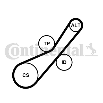 Juego de correas trapeciales poli V - CONTITECH-6PK800K2 Juego de correas trapeciales poli V - CONTITECH-6PK800K2