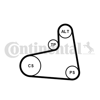 Juego de correas trapeciales poli V - CONTITECH-6PK906K3