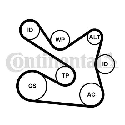 Juego de correas trapeciales poli V - CONTITECH-7PK1605K1
