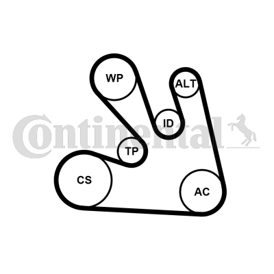 Juego de correas trapeciales poli V - CONTITECH-7PK1705K1