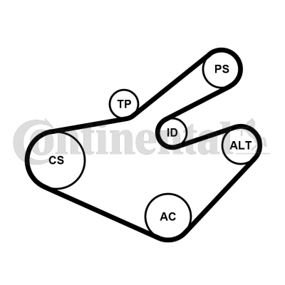 Juego de correas trapeciales poli V - CONTITECH-7PK1795K1