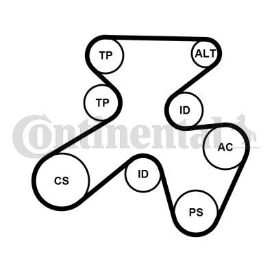 Juego de correas trapeciales poli V - CONTITECH-7PK1855K1 Juego de correas trapeciales poli V - CONTITECH-7PK1855K1