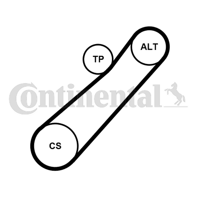 Juego de correas trapeciales poli V - CONTITECH-7PK880K1