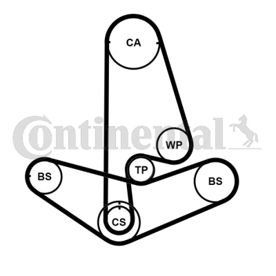 Juego de correas dentadas - CONTITECH-CT1001K2PRO