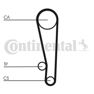 Correa dentada - CONTITECH-CT1013 Correa dentada - CONTITECH-CT1013
