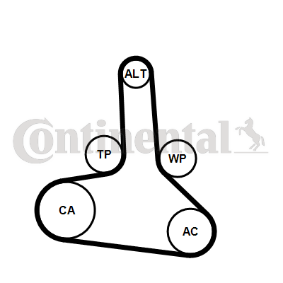 Correa dentada - CONTITECH-CT1245