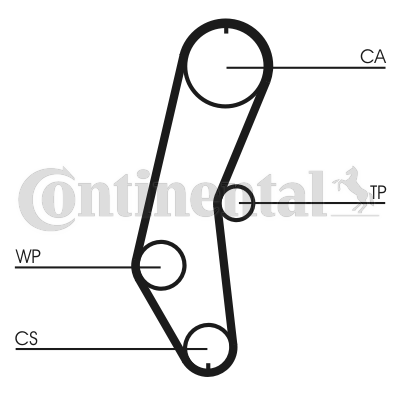 Correa dentada - CONTITECH-CT666