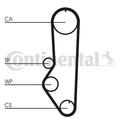 Correa dentada - CONTITECH-CT688