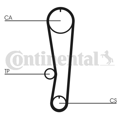 Correa dentada - CONTITECH-CT895