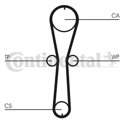 Correa dentada - CONTITECH-CT915