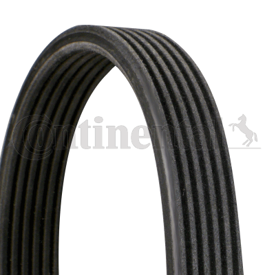 Correa trapecial poli V - CONTITECH-6DPK1195